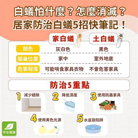 家裡有白蟻|白蟻怕什麼？防治消滅方法整理包：防堵白蟻入侵5點。